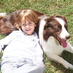 Bilder Mein Freund Max