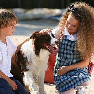 Bilder Mein Freund Max