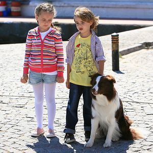 Bilder Mein Freund Max