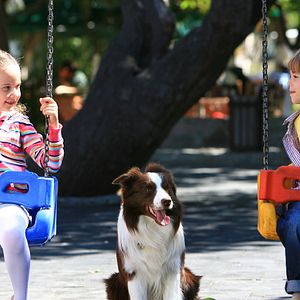 Bilder Mein Freund Max