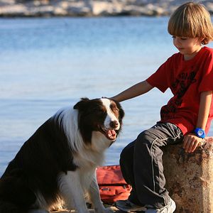 Bilder Mein Freund Max