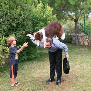 Bilder Mein Freund Max