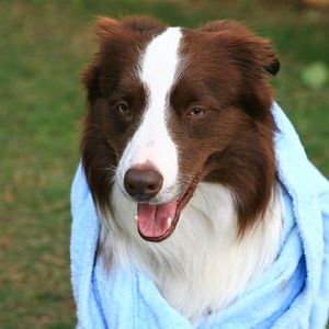 Bilder Mein Freund Max