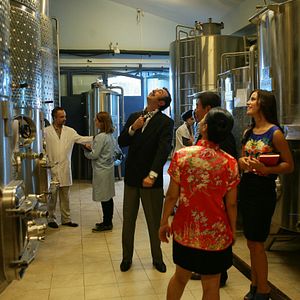 Bilder Mein Freund Max