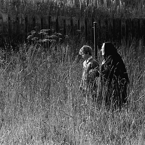 Bilder Stephen Archibald