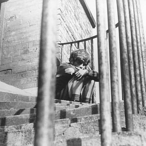 Bilder Stephen Archibald