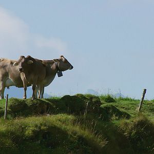 Bilder Die Alpen - Unsere Berge von oben