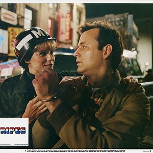 Bilder Ich glaub' mich knutscht ein Elch!