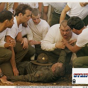 Bilder Ich glaub' mich knutscht ein Elch!