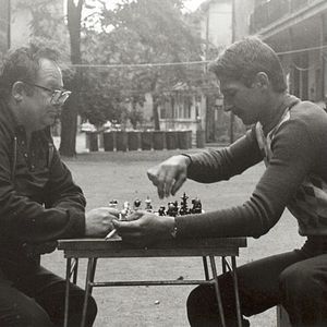 Bilder Familien Nest