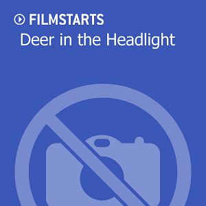 Bilder Deer in the Headlight