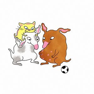 Bilder Vem blöder ?