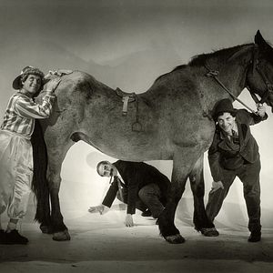 Bilder Die Marx Brothers: Ein Tag beim Rennen