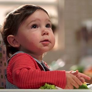 Bilder The Moving Creatures