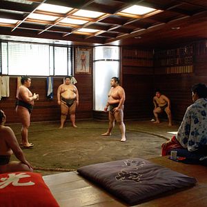 Bilder La tradition des sumos