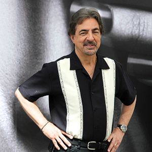 Bilder Joe Mantegna