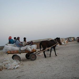 Bilder Toprağa Uzanan Eller