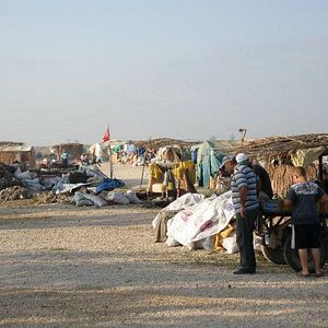 Bilder Toprağa Uzanan Eller