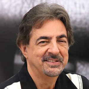 Bilder Joe Mantegna
