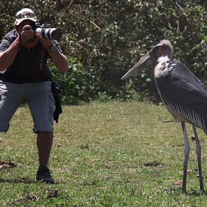 Bilder African Safari 3D