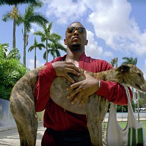 Bilder Anthony Mackie