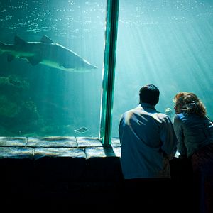 Bilder Voll und ganz und mittendrin