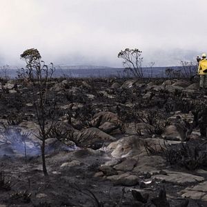 Bilder Pra Lá do Mundo