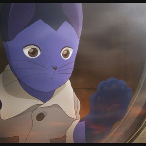 Bilder Das Leben des Budori Gusko