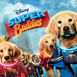 Bilder Super Buddies