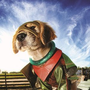 Bilder Super Buddies