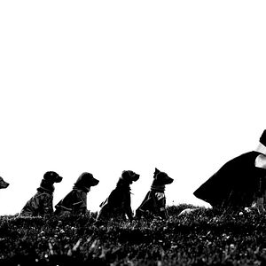 Bilder Super Buddies