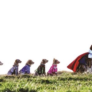 Bilder Super Buddies