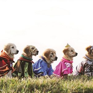 Bilder Super Buddies