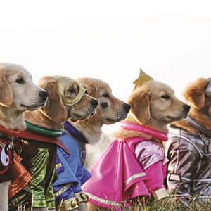 Bilder Super Buddies