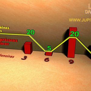 Bilder Forks Over Knives