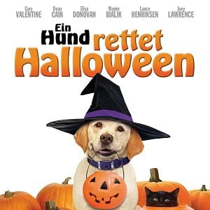 Bilder Ein Hund rettet Halloween