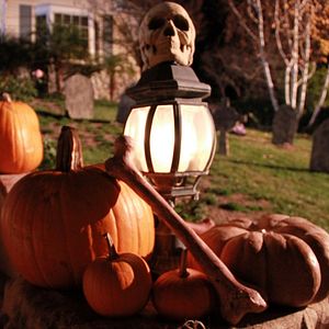 Bilder Ein Hund rettet Halloween