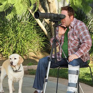 Bilder Ein Hund rettet Halloween