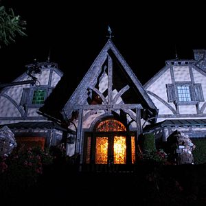 Bilder Ein Hund rettet Halloween