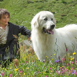 Bilder Belle & Sebastian