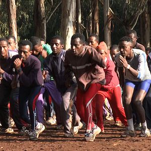 Bilder Town of Runners