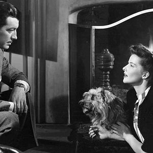 Bilder Der unbekannte Geliebte