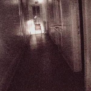 Bilder Paranormal Investigations 5 - Horror Drift