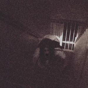 Bilder Paranormal Investigations 5 - Horror Drift