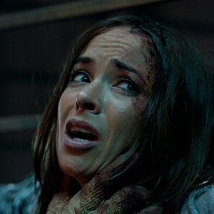 Bilder Chauntal Lewis