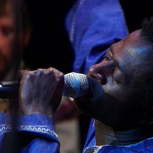 Bilder Can't Be Silent