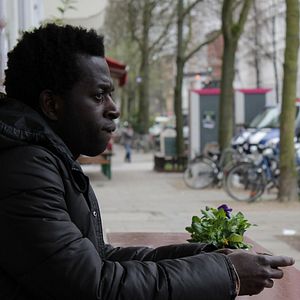 Bilder Can't Be Silent