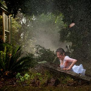 Bilder Im Auge des Sturms