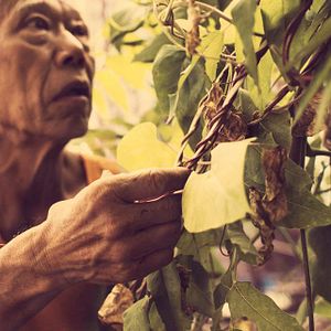 Bilder Cutie and the Boxer