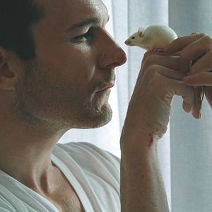 Bilder Errors Of The Human Body